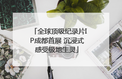 全球顶级纪录片IP成都首展 沉浸式感受极地生灵