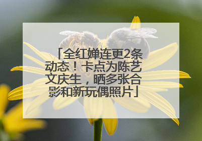 全红婵连更2条动态！卡点为陈艺文庆生，晒多张合影和新玩偶照片