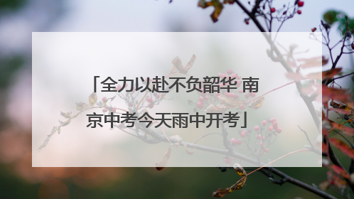 全力以赴不负韶华 南京中考今天雨中开考