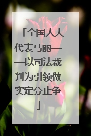 全国人大代表马丽——以司法裁判为引领做实定分止争