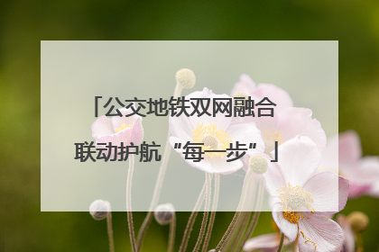 公交地铁双网融合 联动护航“每一步”