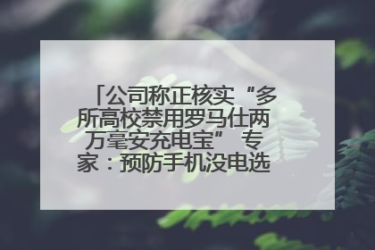 公司称正核实“多所高校禁用罗马仕两万毫安充电宝” 专家：预防手机没电选中等体积产品即可