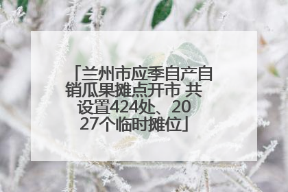 兰州市应季自产自销瓜果摊点开市 共设置424处、2027个临时摊位