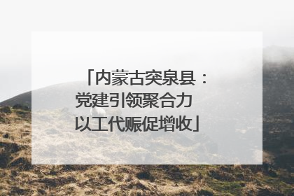 内蒙古突泉县：党建引领聚合力 以工代赈促增收