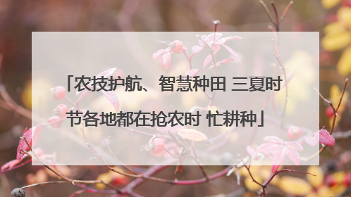 农技护航、智慧种田 三夏时节各地都在抢农时 忙耕种