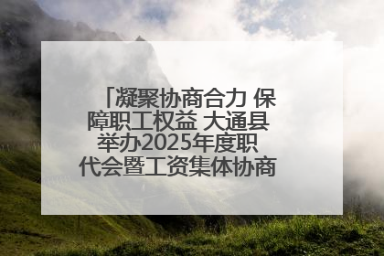 凝聚协商合力 保障职工权益 大通县举办2025年度职代会暨工资集体协商现场观摩交流活动