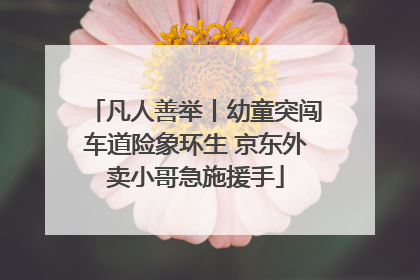 凡人善举丨幼童突闯车道险象环生 京东外卖小哥急施援手