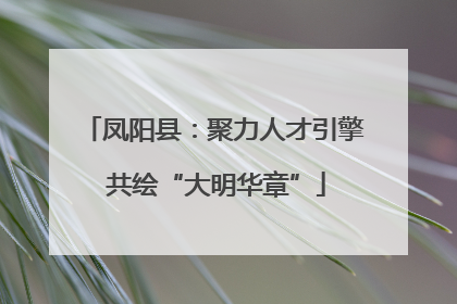 凤阳县：聚力人才引擎 共绘“大明华章”