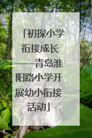 初探小学 衔接成长——青岛淮阳路小学开展幼小衔接活动