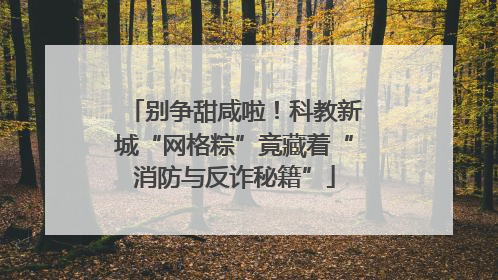 别争甜咸啦！科教新城“网格粽”竟藏着“消防与反诈秘籍”
