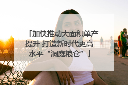 加快推动大面积单产提升 打造新时代更高水平“洞庭粮仓”