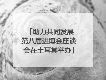 助力共同发展 第八届进博会座谈会在土耳其举办