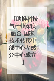 助推科技与产业深度融合 国家技术转移中部中心孝感分中心成立