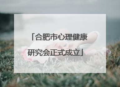 合肥市心理健康研究会正式成立
