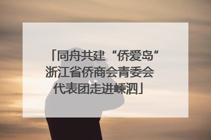 同舟共建“侨爱岛” 浙江省侨商会青委会代表团走进嵊泗