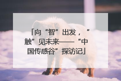 向“智”出发，“触”见未来——“中国传感谷”探访记