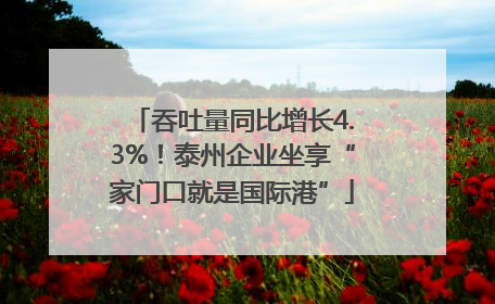 吞吐量同比增长4.3%！泰州企业坐享“家门口就是国际港”