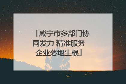 咸宁市多部门协同发力 精准服务企业落地生根