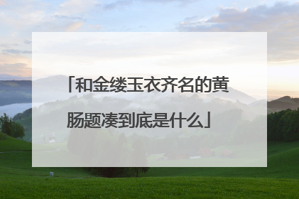 和金缕玉衣齐名的黄肠题凑到底是什么