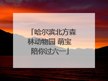 哈尔滨北方森林动物园 萌宝陪你过六一