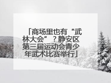 商场里也有“武林大会”？静安区第三届运动会青少年武术比赛举行