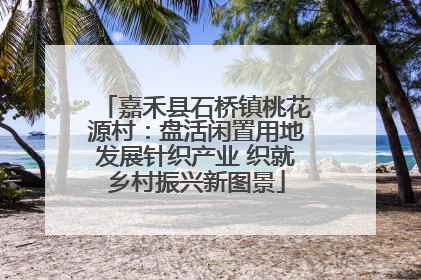 嘉禾县石桥镇桃花源村：盘活闲置用地发展针织产业 织就乡村振兴新图景