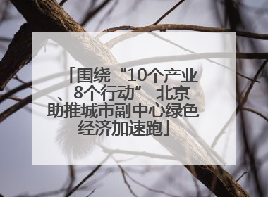 围绕“10个产业、8个行动” 北京助推城市副中心绿色经济加速跑