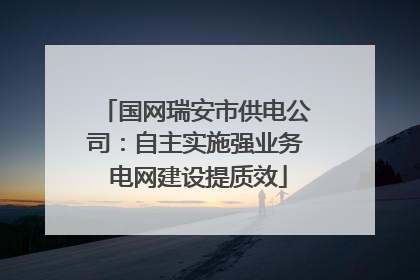 国网瑞安市供电公司：自主实施强业务 电网建设提质效