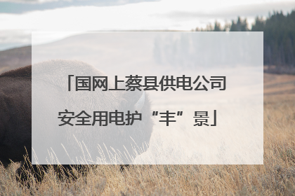 国网上蔡县供电公司安全用电护“丰”景