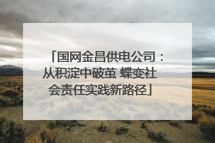 国网金昌供电公司：从积淀中破茧 蝶变社会责任实践新路径