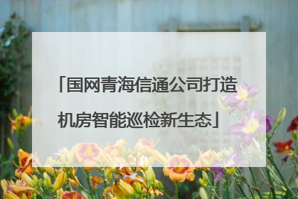 国网青海信通公司打造机房智能巡检新生态