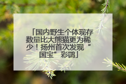 国内野生个体现存数量比大熊猫更为稀少！扬州首次发现“国宝”彩鹮