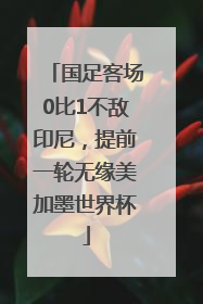 国足客场0比1不敌印尼，提前一轮无缘美加墨世界杯