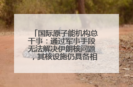 国际原子能机构总干事：通过军事手段无法解决伊朗核问题，其核设施仍具备相关产能，只需要数月就能生产出浓缩铀