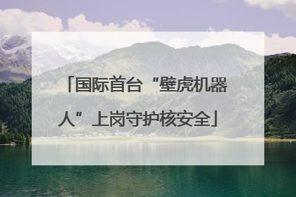 国际首台“壁虎机器人”上岗守护核安全