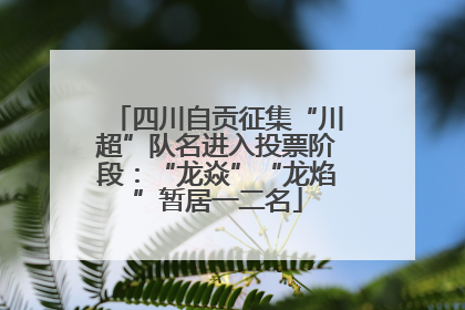 四川自贡征集“川超”队名进入投票阶段：“龙焱”“龙焰”暂居一二名