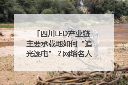 四川LED产业链主要承载地如何“追光逐电”？网络名人走进攀枝花找答案｜网络名人四川行