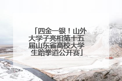 四金一银！山外大学子亮相第十五届山东省高校大学生跆拳道公开赛