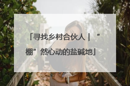 寻找乡村合伙人｜“棚”然心动的盐碱地