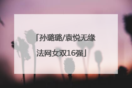 孙璐璐/袁悦无缘法网女双16强