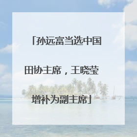 孙远富当选中国田协主席，王晓莹增补为副主席