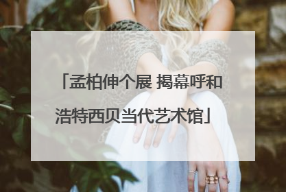 孟柏伸个展 揭幕呼和浩特西贝当代艺术馆