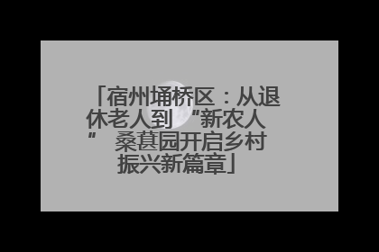 宿州埇桥区：从退休老人到 “新农人” 桑葚园开启乡村振兴新篇章