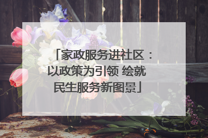 家政服务进社区：以政策为引领 绘就民生服务新图景