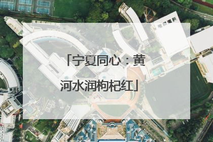 宁夏同心：黄河水润枸杞红