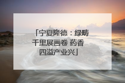 宁夏隆德：绿畴千里展画卷 药香四溢产业兴