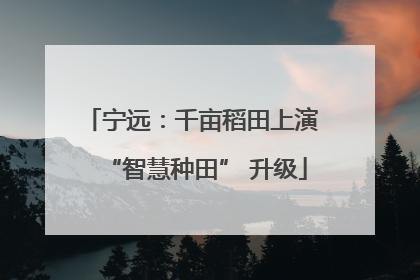 宁远：千亩稻田上演 “智慧种田” 升级