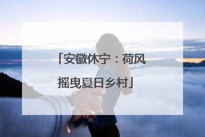 安徽休宁：荷风摇曳夏日乡村