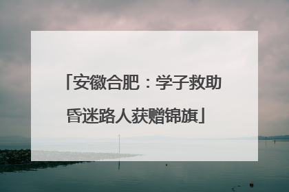 安徽合肥：学子救助昏迷路人获赠锦旗