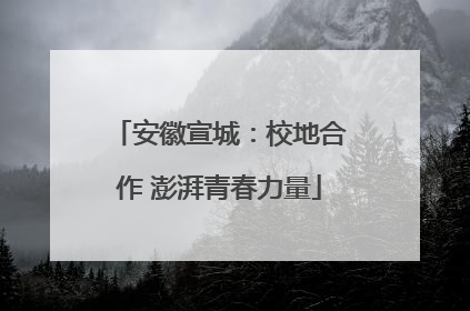 安徽宣城：校地合作 澎湃青春力量
